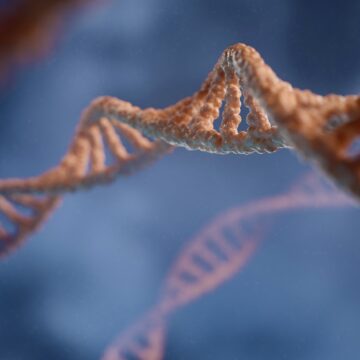 Revolutionizing Medicine: The Synthetic Human Genome Project