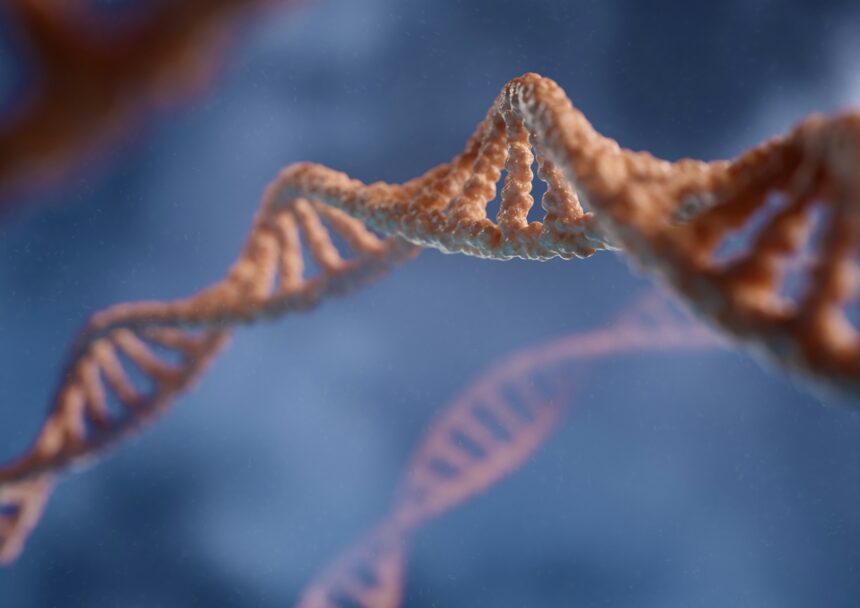 Revolutionizing Medicine: The Synthetic Human Genome Project