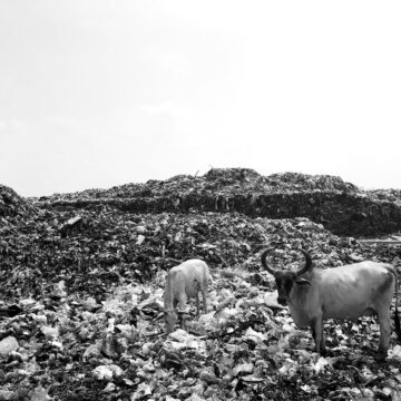 Sindh Intensifies Plastic Bag Ban Enforcement Across Province