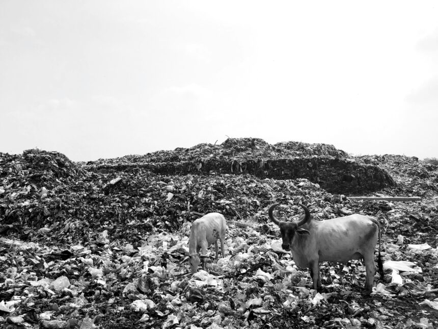 Sindh Intensifies Plastic Bag Ban Enforcement Across Province
