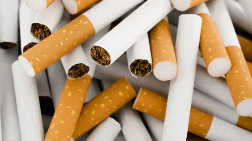 FBR Cracks Down on Illegal Cigarettes with SRO 1279, Orders Nationwide Seizures