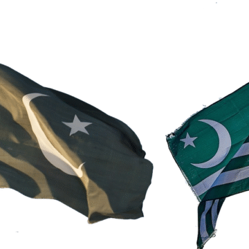 Chief Minister Murad Ali Shah Honours Kashmir Resolution Day