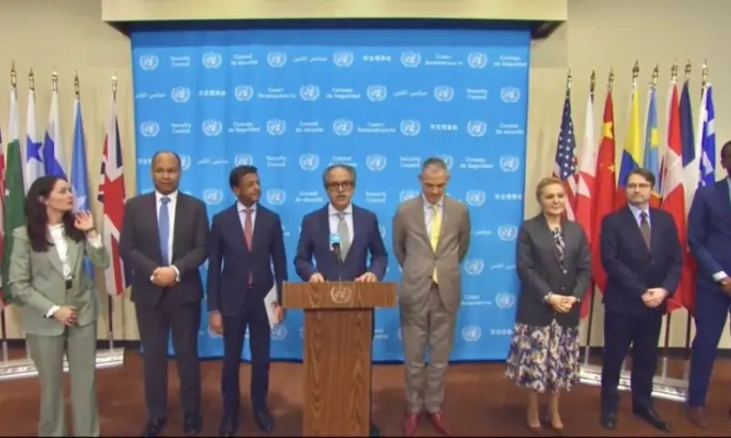 250749412eb4d87 Pakistan Joins UNSC in Condemning Illegal Israeli Settlements