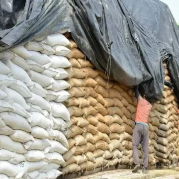 291782007247-2-640x480 Wheat Vanishes from Hyderabad Markets After Anti-Hoarding Crackdown