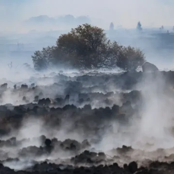Firefighters Push to Encircle Belgium’s Largest Wildfire as Blaze Threatens German Border