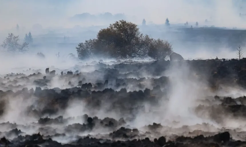 18161151fc84b8c Firefighters Push to Encircle Belgium’s Largest Wildfire as Blaze Threatens German Border